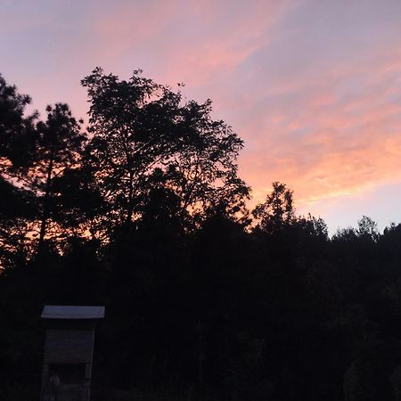 Happyhouse Bungalov Three-Room, Sw Pool With Lake View, Sapanca B1 エクステリア 写真