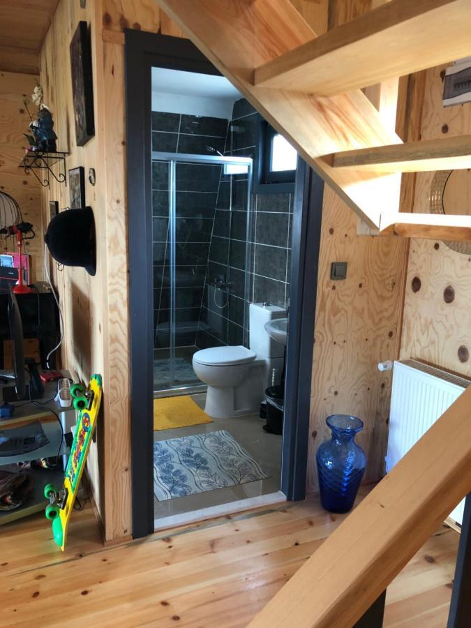 Happyhouse Bungalov Three-Room, Sw Pool With Lake View, Sapanca B1 エクステリア 写真