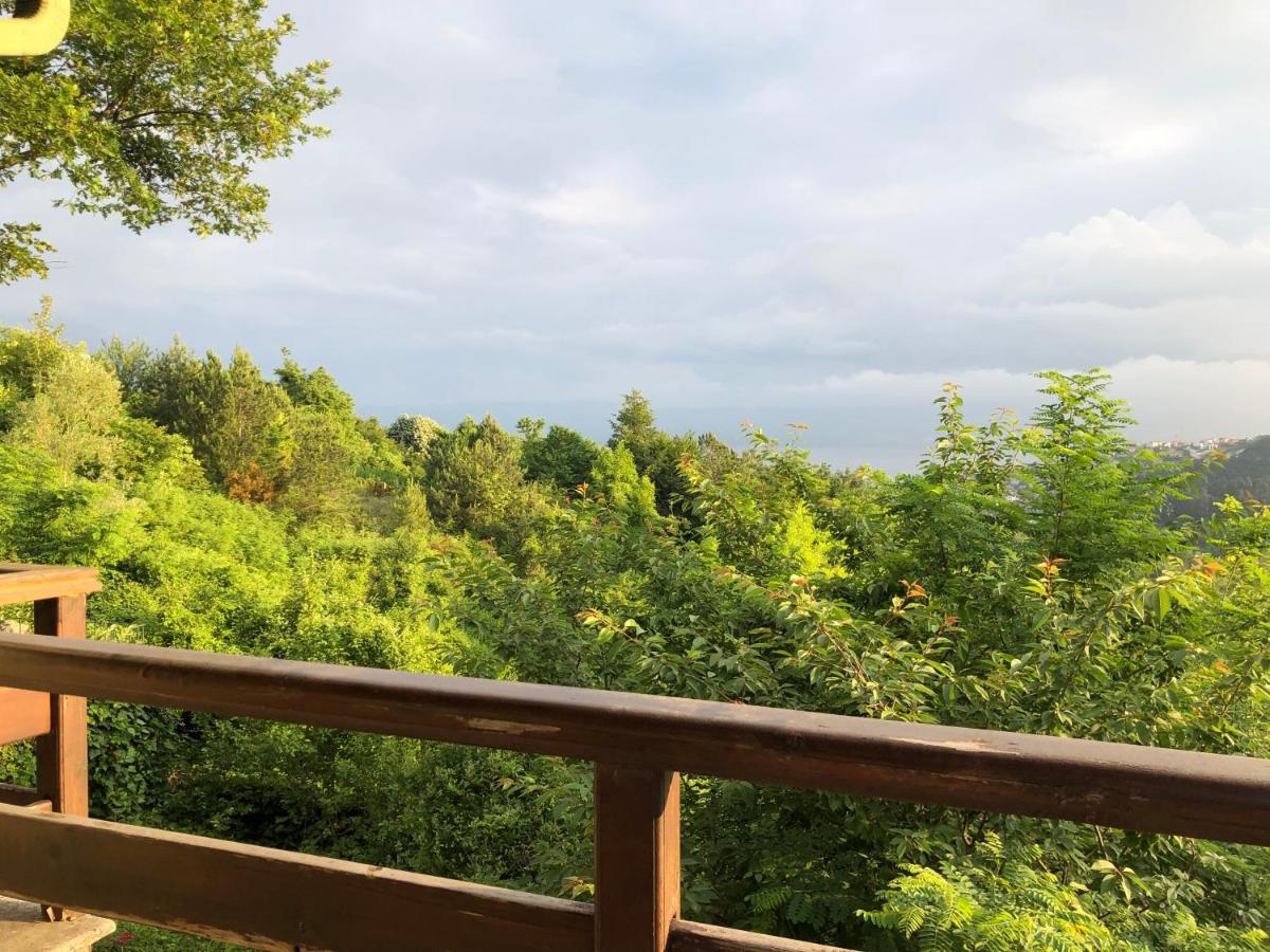 Happyhouse Bungalov Three-Room, Sw Pool With Lake View, Sapanca B1 エクステリア 写真