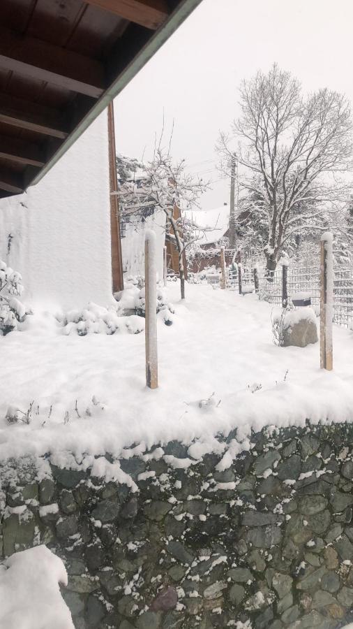 Happyhouse Bungalov Three-Room, Sw Pool With Lake View, Sapanca B1 エクステリア 写真