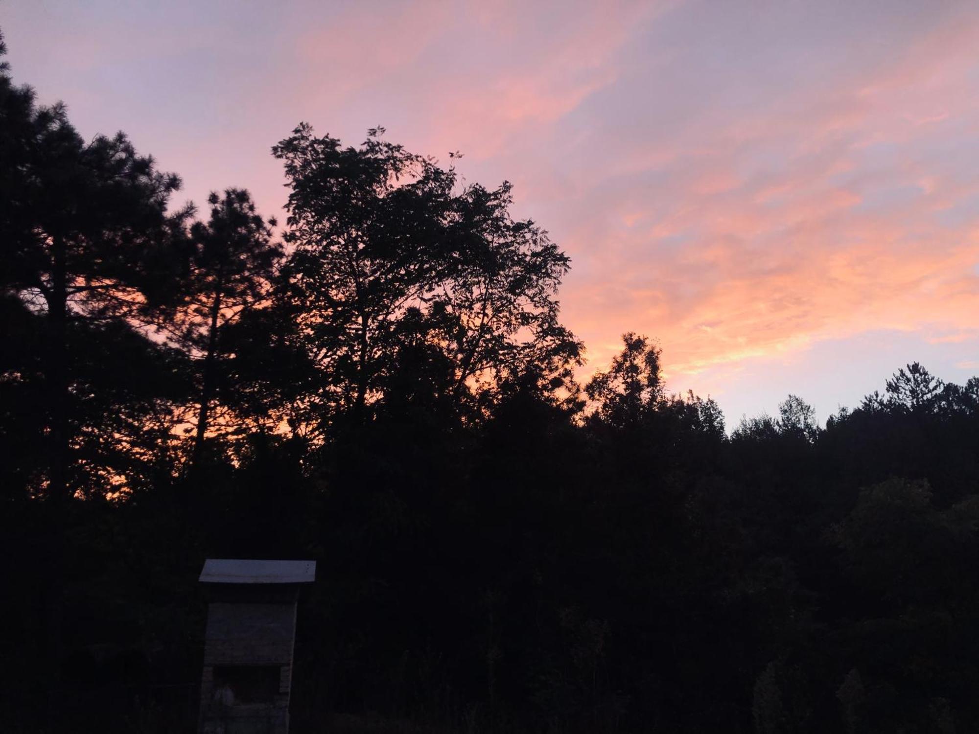 Happyhouse Bungalov Three-Room, Sw Pool With Lake View, Sapanca B1 エクステリア 写真